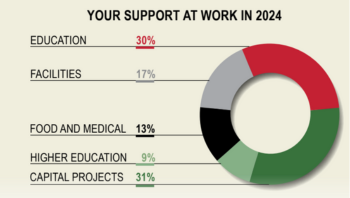 infographic chart